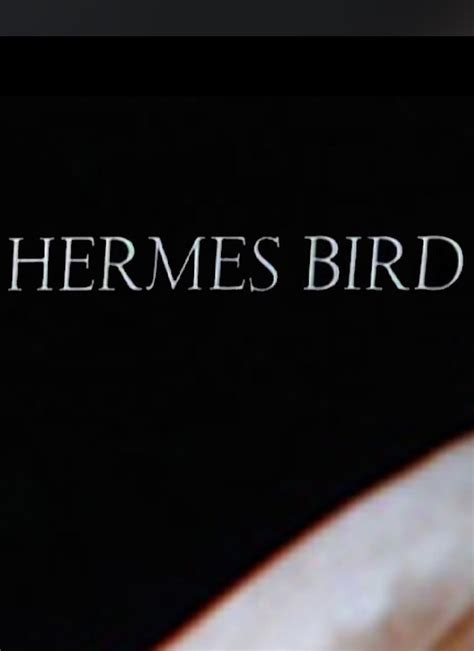 watch hermes bird 1979|Hermes Bird (1979) Cast and Crew .